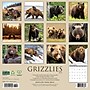2026 Willow Creek Grizzlies 12" x 12" Monthly Wall Calendar (51399)~#|#~00881EFF-AC4A-4961-9FC21B926235E7C3_sc7