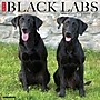 2027 Willow Creek Black Labs 12" x 12" Monthly Wall Calendar, Assorted Colors (59272)~#|#~0098552D-D643-4D71-B2A61BBA83BC24B7_sc7