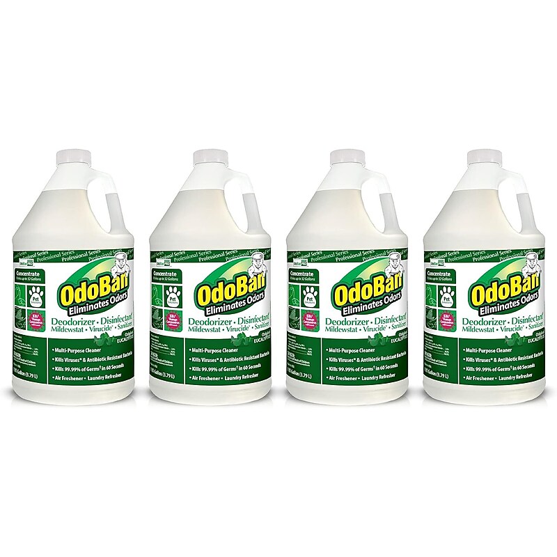 OdoBan Professional Air Freshener & Deodorizer, Original Eucalyptus Scent, 1 Gallon, 4/Carton (9110624PK-STP) image 1
