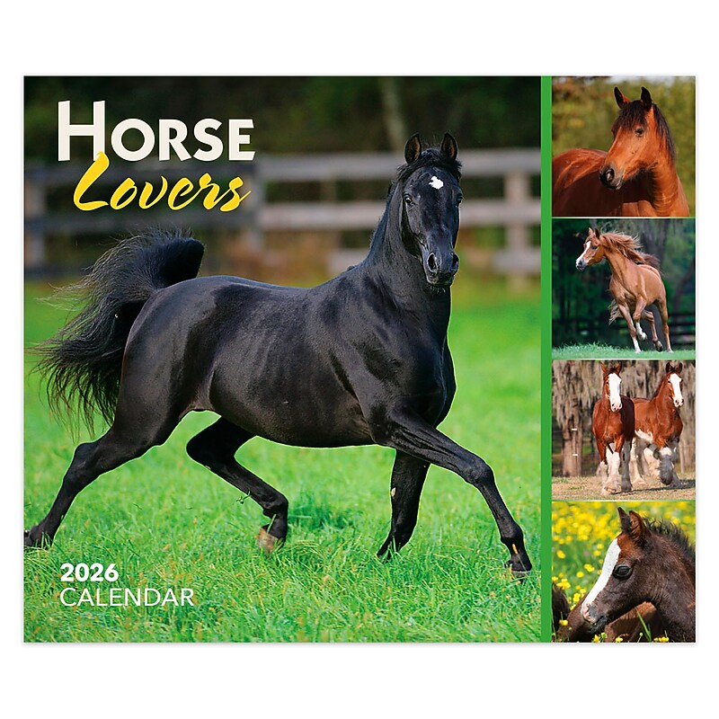 2026 BrownTrout Horse Lovers 6.06" x 5.13" Day-to-Day Calendar (9798330703678) image 1