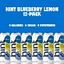 Hint Watermelon Flavored Purified Water, 12 fl. oz., 12 Cans/Pack (HINT-WMCAN-12)~#|#~00BF3F56-CD0C-46B5-86132DE7031C3B26_sc7