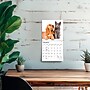 2027 BrownTrout Kittens & Puppies 7" x 7" Monthly Wall Calendar (9798330709724)~#|#~00C847EA-B81F-48C1-841EA4AD9CD77286_sc7