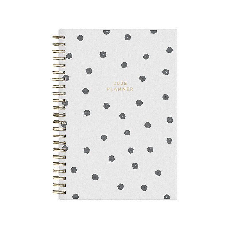 2025 Blue Sky Deelie 5" x 8" Weekly & Monthly Planner, Plastic Cover, Gray (152250) image 1