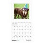 2027 TF Publishing Best Day Ever: Dogs 7" x 7" Monthly Wall Calendar, Multicolored (27-2008)~#|#~00D1B62F-FD43-4E0E-909AA34DE184B62A_sc7