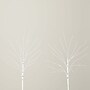 Nearly Natural 24-in Pre-Lit Artificial White Birch Branches with 80 Warm White LED Lights - Set of 2 (T4778-S2)~#|#~00DDD801-AB1C-44EA-84E47CD152117F01_sc7