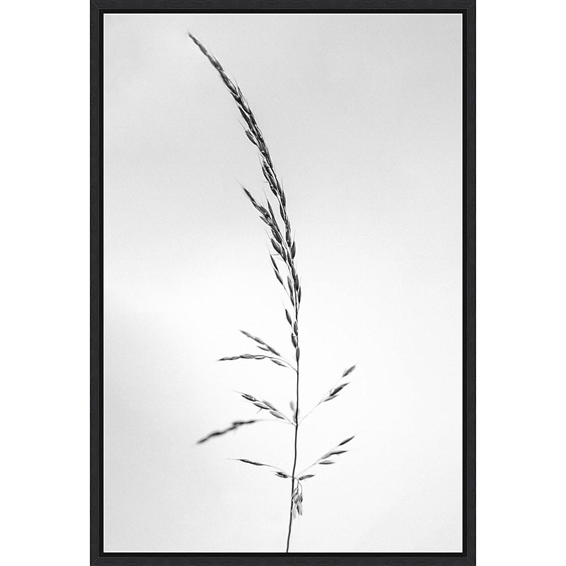 Amanti Art Amid the Flowers 45 by Teis Albers Framed Canvas Wall Art Print, 23" x 33" (A42677457048) image 1