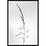Amanti Art Amid the Flowers 45 by Teis Albers Framed Canvas Wall Art Print, 23" x 33" (A42677457048)~#|#~00EF2338-0102-4E67-8C32172761B1C845_sc7