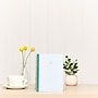 2026 The Happy Planner Organized Bloom 5.25" x  8.26" Weekly & Monthly Standard Planner, Plastic Cover (PTLSD12-156)~#|#~00F53900-F3CB-45C6-961F5ACE46FF0F6B_sc7