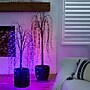 Nearly Natural 5' Pre-Lit Halloween Black Willow Artificial Fall Tree with 144 Orange and Purple LED Lights (T4754)~#|#~00F8986E-D9C4-477D-A1B2BB67B8BBAE8E_sc7