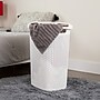 Mind Reader 15.85-Gallon Laundry Hamper with Lid, Plastic, White, 2/Set (60HAMP2PK-WHT)~#|#~010DF0F1-01D5-4A7B-A0A920987EC9D9EC_sc7