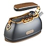SALAV Retro Edition DuoPress Garment Steamer & Iron, Titanium (IS-900 TITANIUM)~#|#~01120CD1-ED81-4752-BE9391BF80ADCB3D_sc7