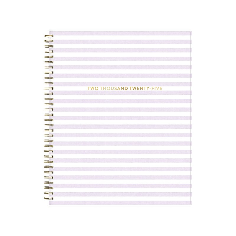 2025 Blue Sky Wednesday Stripe 8.5" x 11" Weekly & Monthly Planner, Plastic Cover, Purple/White (147943) image 1