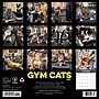 2027 Willow Creek Gym Cats  12" x 12" Monthly Wall Calendar (65280)~#|#~0154F034-AFC5-4FFD-BF34CBA7E3BB0F1E_sc7