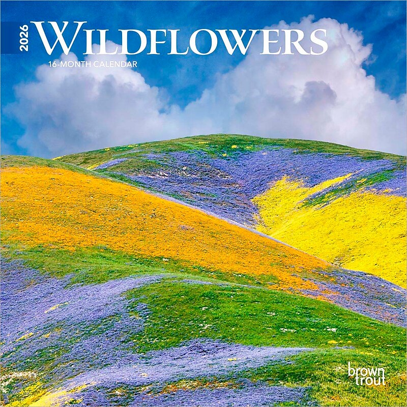 2026 BrownTrout Wildflowers 7" x 7" Monthly Wall Calendar (9798330706358) image 1