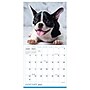 2027 TF Publishing Puppies 7" x 7" Monthly Wall Calendar, Multicolored (27-2007)~#|#~01728F12-B9AD-45D5-887323164C936A64_sc7