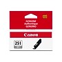 Canon 251 Gray Standard Yield Ink Cartridge  (6517B001)~#|#~0177E85F-4E92-4B6D-837EF9F9E90081A4_sc7