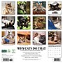 2026 Willow Creek Why Cats Do That 12" x 12" Monthly Wall Calendar (53256)~#|#~01838F57-4378-4591-B770BA1B88150771_sc7