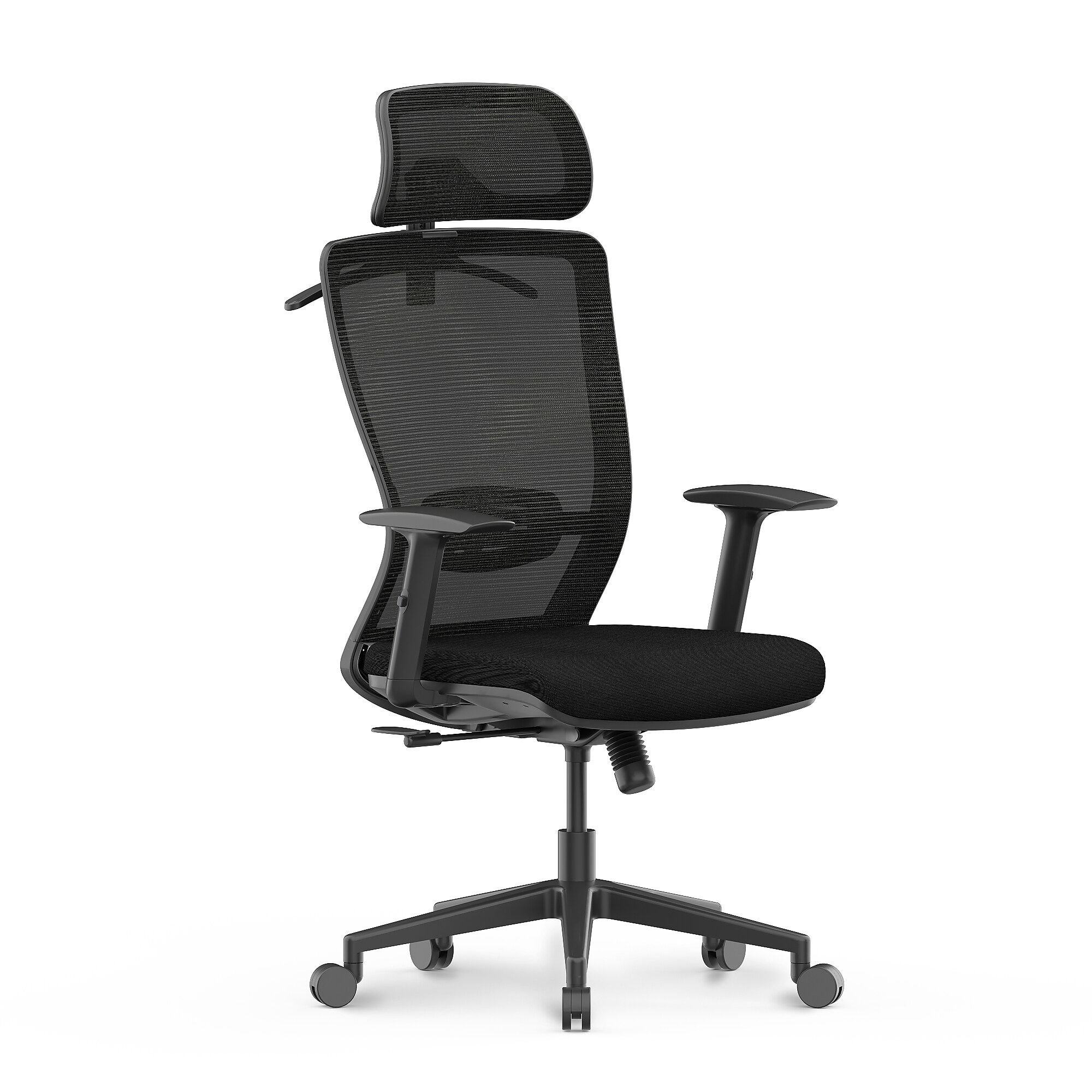 FlexiSpot Ergonomic Mesh Swivel Computer and Desk Chair, Black (C3B-FM) Sansujyuku sansujyuku.com