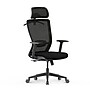 FlexiSpot Ergonomic Mesh Swivel Computer and Desk Chair, Black (C3B-FM)~#|#~01856528-D512-445F-9866E598245783DE_sc7
