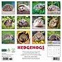 2026 Willow Creek Hedgehogs 12" x 12" Monthly Wall Calendar (51467)~#|#~01A473EC-EDB5-46A2-99970DA4B47BA93B_sc7