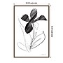 Amanti Art Paradise Plants II by Danhui Nai Framed Canvas Wall Art Print, 23" x 33" (A42678302726)~#|#~01A72539-2618-4B6D-ABAC47806A9FC767_sc7