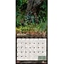 2026 BrownTrout Mossy Oak American Camo 12" x 12" Monthly Wall Calendar (9798330707751)~#|#~01B19966-3812-4B63-878B14EC0EBB49EF_sc7