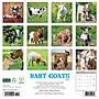 2026 Willow Creek Baby Goats 12" x 12" Monthly Wall Calendar (50019)~#|#~01C9F8E8-57A7-4C14-BC1CAB5C13452192_sc7