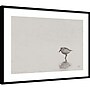 Amanti Art Tybee Island Sanderling by Nathan Larson Wood Framed Wall Art Print, 41"W x 30"H (A426710361387)~#|#~01CEFD15-EE87-49E7-AE77636236A824FB_sc7