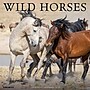 2026 Willow Creek Wild Horses 12" x 12" Monthly Wall Calendar (53287)~#|#~01DC276C-C010-4FD5-B84106A4D44913B1_sc7