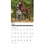 2026 Willow Creek German Shorthaired Pointers 12" x 12" Monthly Wall Calendar (51245)~#|#~01DF19C0-18DF-4FA2-967355F72D8DD736_sc7