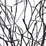 Nearly Natural Pre-Lit Artificial Halloween Black Twig Tree, 5' (T5205)~#|#~01E727DB-AABF-4938-B2CC8E52E6080413_sc7