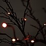 Nearly Natural 5' Pre-Lit Halloween Deluxe Black Twig Artificial Fall Tree with 102 Orange and Purple LED Lights (T4758)~#|#~751624E3-F253-418A-AE3952DC11E4EF9B_sc7