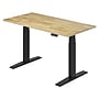 FlexiSpot E7 Commercial 55''W Electric Rectangular Adjustable Standing Desk, Rubber Wood/Black (E7BCOM5528-RW)~#|#~020A27F7-4957-4935-A9962F140F7F4EEC_sc7