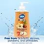 Dial Antibacterial Limited Edition Liquid Hand Soap, Toasted Hazelnut & Vanilla Scent, 11 oz. (1700035945)~#|#~0211C105-B6E5-4CB0-839F8E0528E8C8F6_sc7