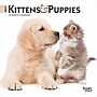 2027 BrownTrout Kittens & Puppies 7" x 7" Monthly Wall Calendar (9798330709724)~#|#~02250A0B-62A3-453D-9335E4FA1FC3F896_sc7