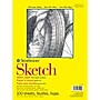 Strathmore 300 Series 9" x 12" Glue Bound Sketch Pad, 100 Sheets/Book, 2/Bundle (STT3501091-2)~#|#~0232C133-8339-40A9-B21B8FD3EB5F2571_sc7