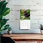 2026 BrownTrout German Shepherd Puppies 7" x 7" Monthly Wall Calendar (9798330703357)~#|#~02343D2C-A445-4292-AE824218C4E11EBC_sc7