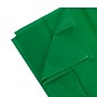 JAM Paper 20" x 26" Tissue Paper, Green, 10 Sheets/Pack (1152352)~#|#~026A13C3-1092-45A1-BAF027C8EE22CB17_sc7