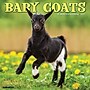 2027 Willow Creek Baby Goats 12" x 12" Monthly Wall Calendar, Assorted Colors (58961)~#|#~026C47A7-5294-4215-A4D912B13FE7CF84_sc7