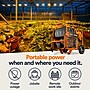 Generac Power Systems XD5000E Portable Generator, Electric/Recoil Start, Diesel, 5000 Watts (6864)~#|#~026FBDDA-4C28-4B7D-B4708ED22D5DBF19_sc7
