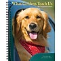2027 Willow Creek What Goldens Teach Us 6.5" x 8.5" Weekly & Monthly Desk Calendar (64467)~#|#~0270DB8F-404E-4ED8-BC7EA5FF5BBB7889_sc7