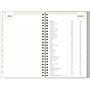 2025 Blue Sky Day Designer Tess 5" x 8" Weekly & Monthly Planner, Plastic Cover, Tan/Off-White (148145)~#|#~0280F94B-1948-4B0D-A9448A9175EC473A_sc7