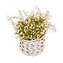 National Tree Company 11" Pink Lily-of-the-Valley Flowers in White Basket (MT81-00126GPK-1)~#|#~028544A7-6CE3-4C95-9C9F9DBA3E948914_sc7