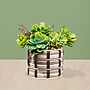 Lifelines FlowCrafts: Cord-Wrapped Planters (167005)~#|#~028978AA-0C15-427E-A7B9FCEA09BE2F79_sc7