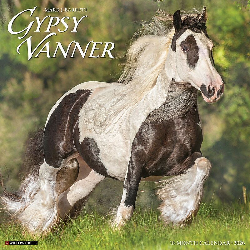 2026 Willow Creek Gypsy Vanner Horse 12" x 12" Monthly Wall Calendar (51429) image 1