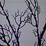 Nearly Natural 6' Pre-Lit Halloween Minimalist Twig Artificial Fall Tree with 320 Orange and Purple LED Lights (T4926)~#|#~18E9F43A-9945-4D78-850560D1E650DBA1_sc7
