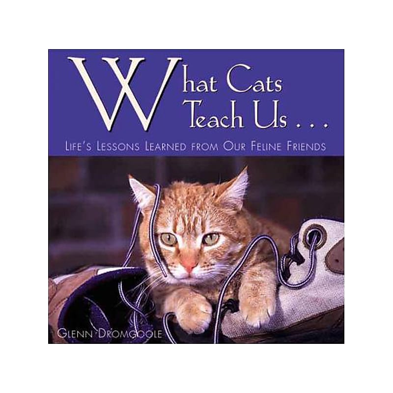 What Cats Teach Us Book, Hardcover image 1