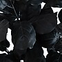 Nearly Natural Artificial Halloween Black Fiddle Leaf Tree, 5' (T5147)~#|#~02D9CC11-7813-4A39-ABB538340BD93B75_sc7