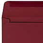 JAM Paper Booklet Envelope, 6" x 9", Garnet, 50/Pack (EX4820-26-50)~#|#~02DBEE24-C55E-4519-BF03EA6CA3D346B3_sc7