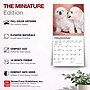 2027 BrownTrout Bichon Frise Puppies 7" x 7" Monthly Wall Calendar, Assorted Colors (9798330709892)~#|#~02DC297F-0C6E-4B01-A75E9320DA08DD16_sc7